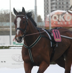 Foto: Annika Lindblom, Travkompaniet